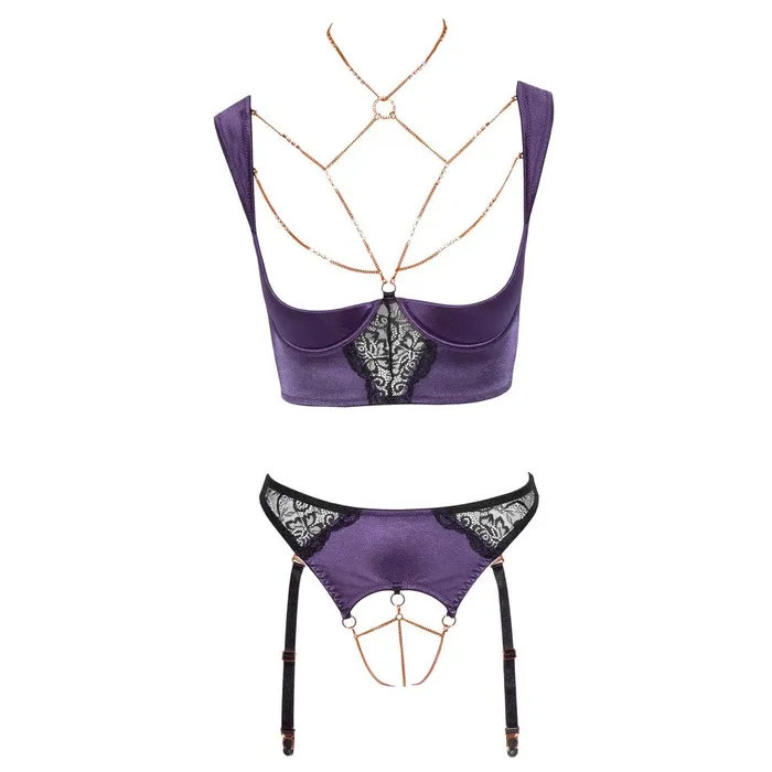 Cottelli Collection Anal Abierta Fina Shelf Bra Crotchless Suspender Briefs Set