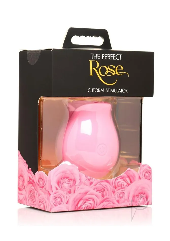 Female Sex Toys Bloomgasm Bloomgasm The Perfect Rose Rechargeable Silicone Clitoral Stimulator Pink Female Sex Toys Bloomgasm Bloomgasm The Perfect Rose Rechargeable Silicone Clitoral Stimulator Pink