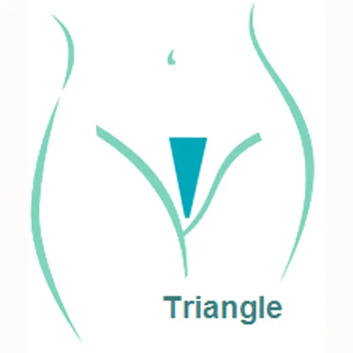 Ladyshape Vibrators Ladyshape Triangle Intimate Shaving Stencil