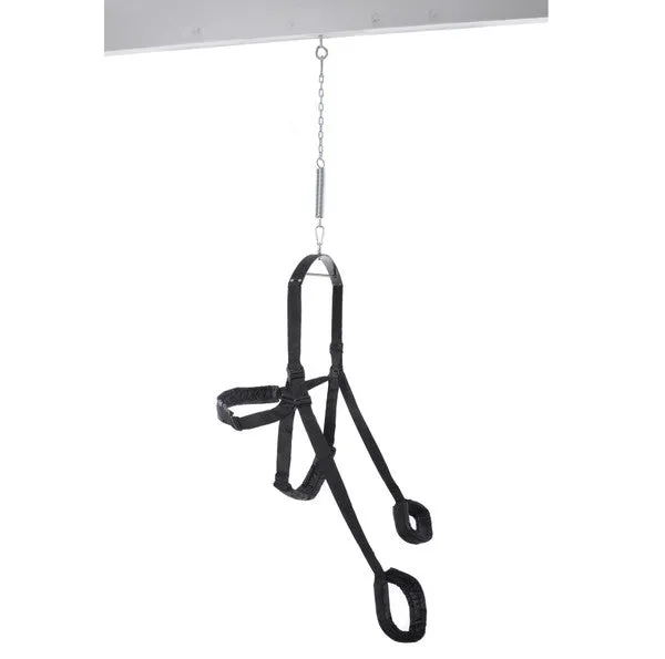 Pipedream Products Anal FF Fantasy Swing Black Pipedream Products Anal FF Fantasy Swing Black