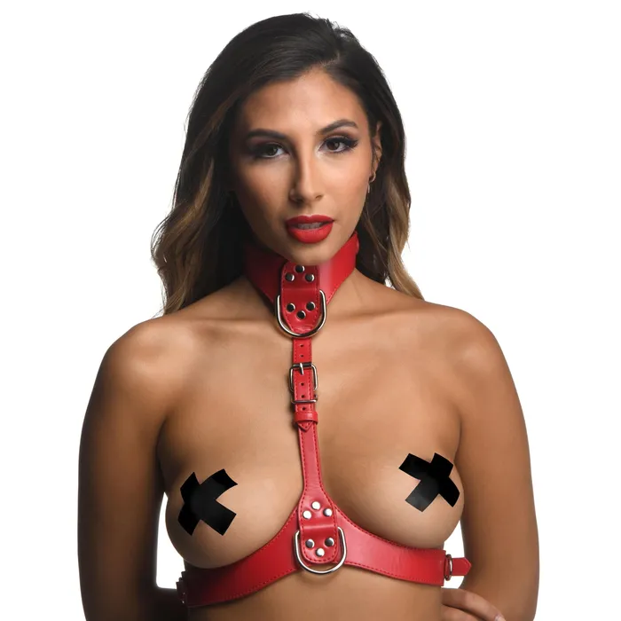 Anal Red Female Chest Harness SmallMedium XR Brands