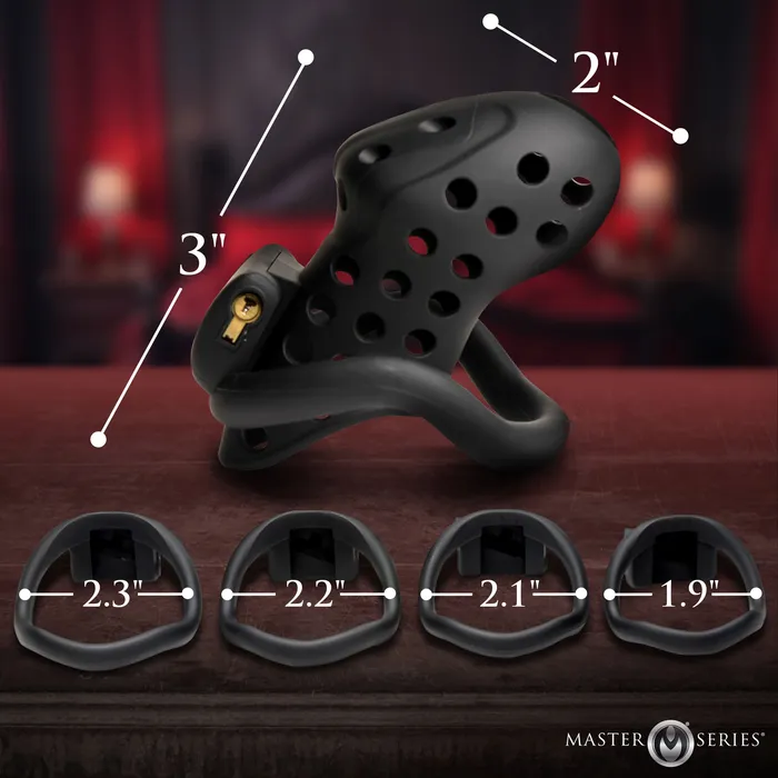 Male Sex Toys XR Brands Lock Down Chastity Cage