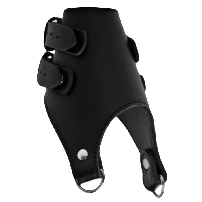 Male Sex Toys XR Brands Strict Leather Double Weight Ball Stretcher
